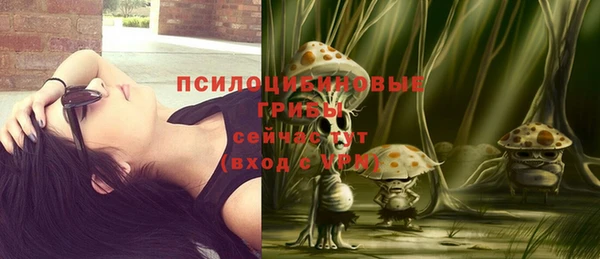 ECSTASY Аркадак