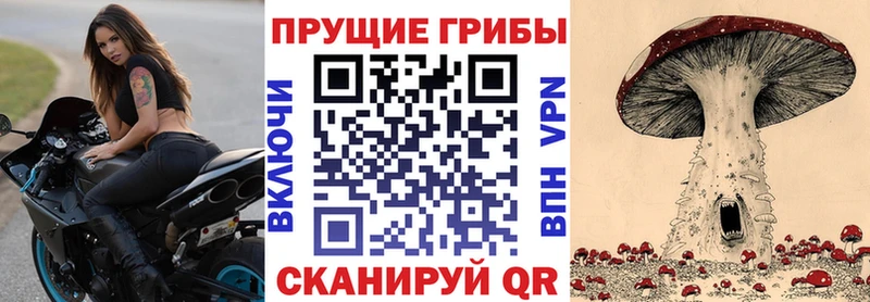 где найти   Павловский Посад  Псилоцибиновые грибы Cubensis 