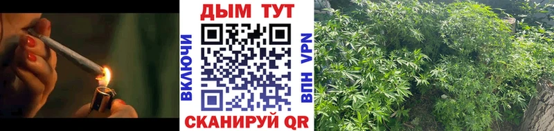 МАРИХУАНА семена  дарнет шоп  kraken вход  Павловский Посад 